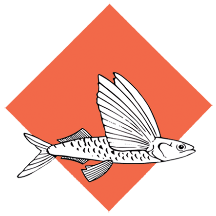 logo Poisson volant brique
